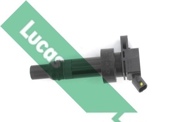 Ritė, uždegimas LUCAS DMB2072