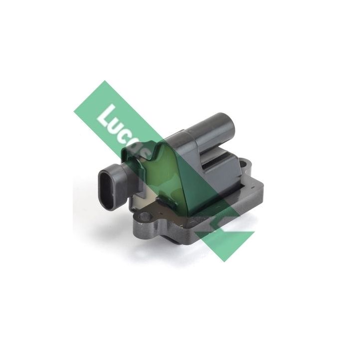 Ritė, uždegimas LUCAS DMB2073