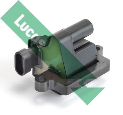 Ritė, uždegimas LUCAS DMB2073