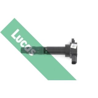 Ritė, uždegimas LUCAS DMB2074