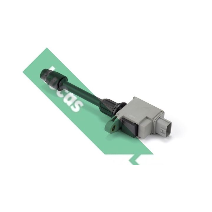 Ritė, uždegimas LUCAS DMB2076