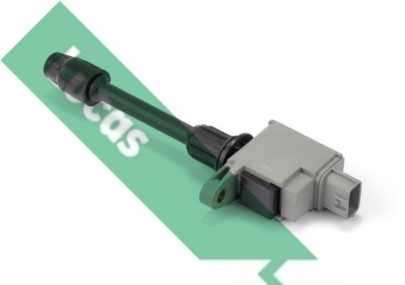 Ritė, uždegimas LUCAS DMB2076