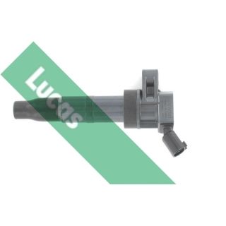 Ritė, uždegimas LUCAS DMB2078