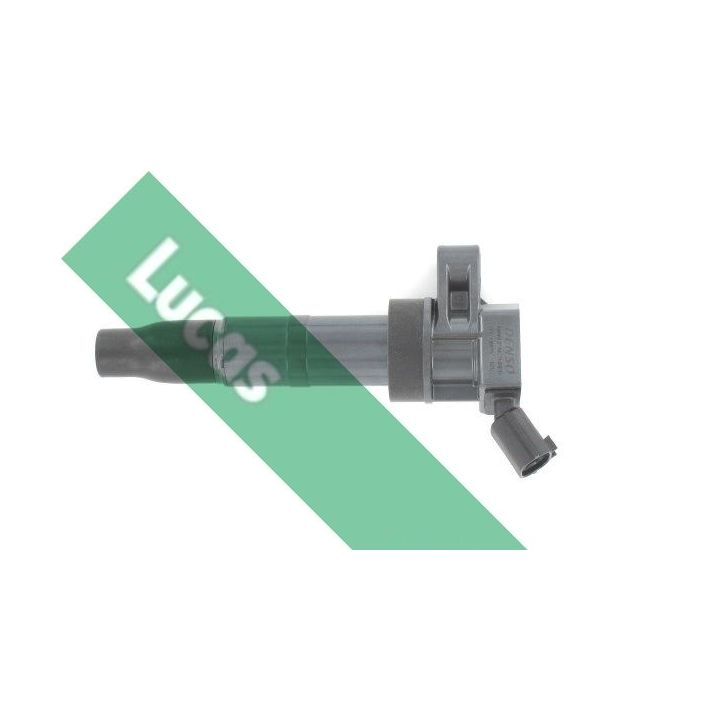 Ritė, uždegimas LUCAS DMB2078