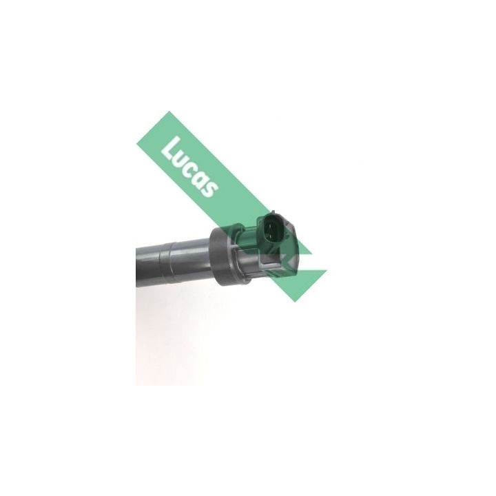 Ritė, uždegimas LUCAS DMB2078