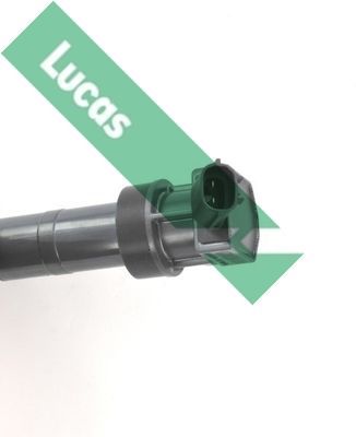 Ritė, uždegimas LUCAS DMB2078