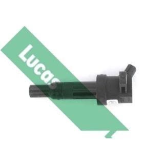 Ritė, uždegimas LUCAS DMB2079
