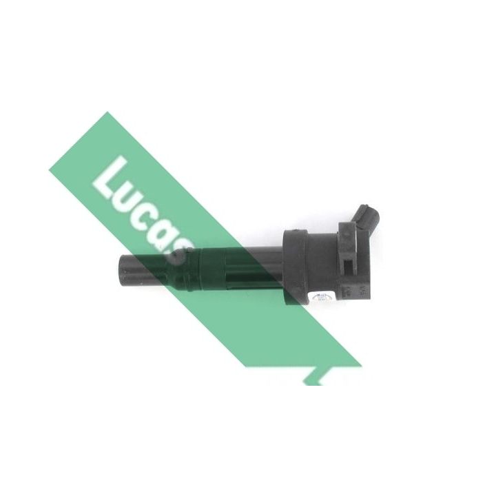 Ritė, uždegimas LUCAS DMB2079