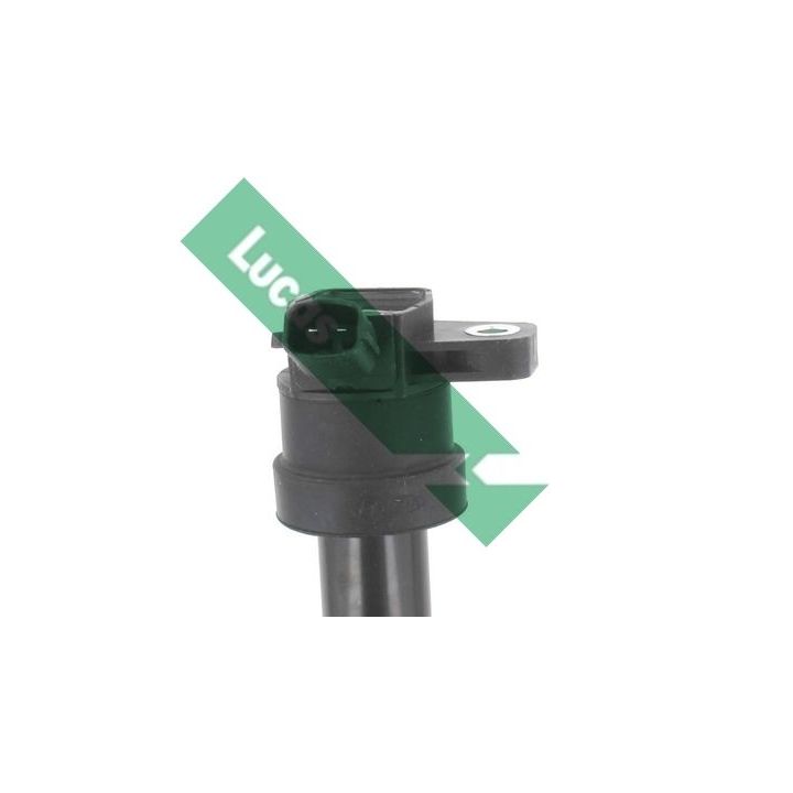 Ritė, uždegimas LUCAS DMB2079