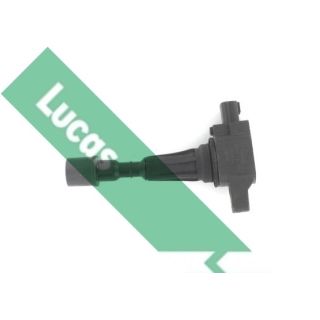 Ritė, uždegimas LUCAS DMB2082