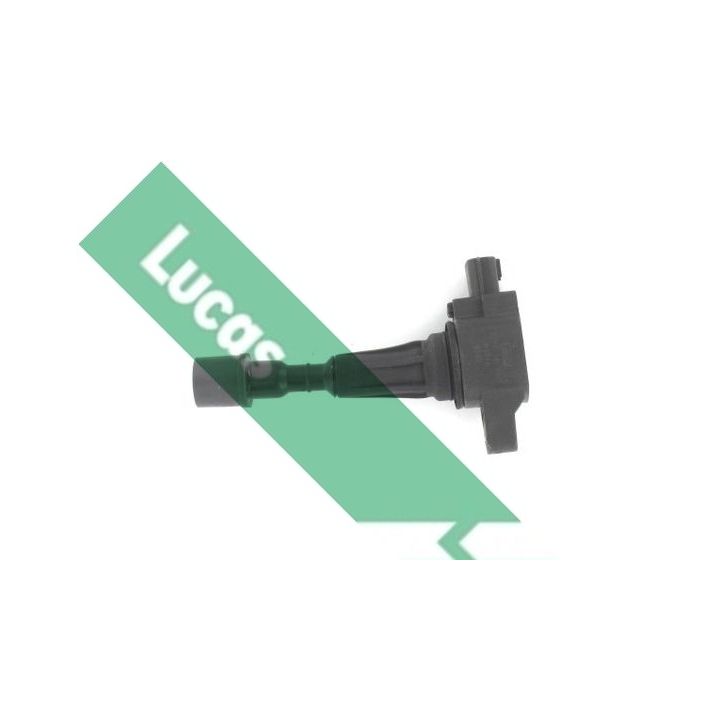 Ritė, uždegimas LUCAS DMB2082