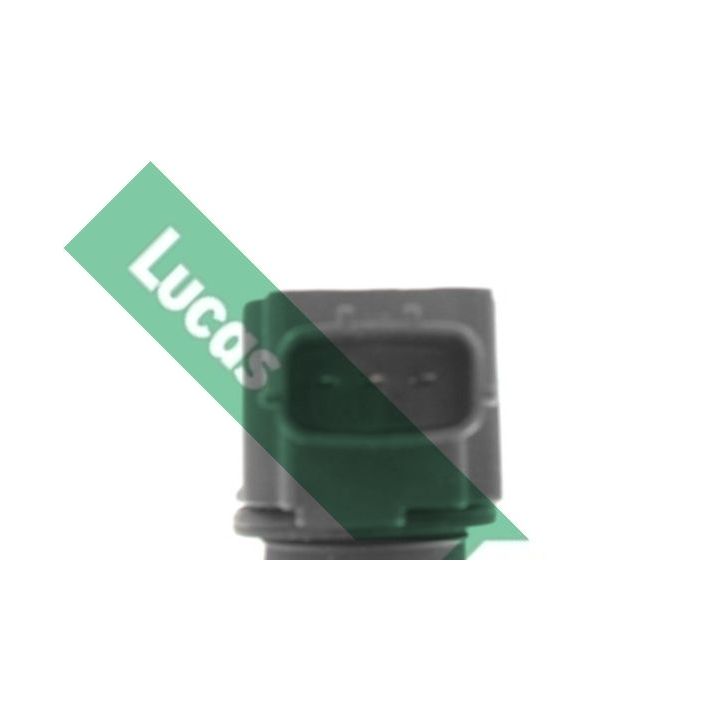 Ritė, uždegimas LUCAS DMB2082