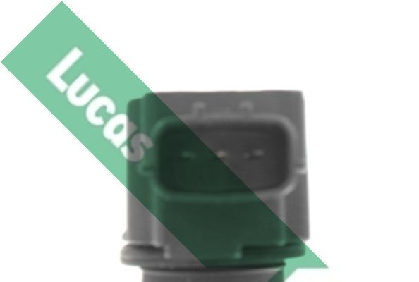 Ritė, uždegimas LUCAS DMB2082