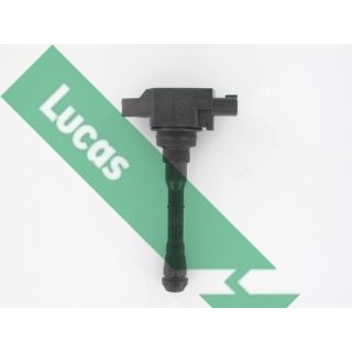 Ritė, uždegimas LUCAS DMB2088