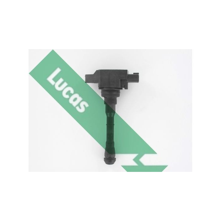 Ritė, uždegimas LUCAS DMB2088