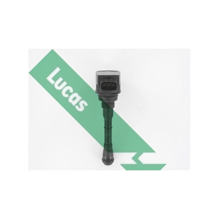 Ritė, uždegimas LUCAS DMB2088