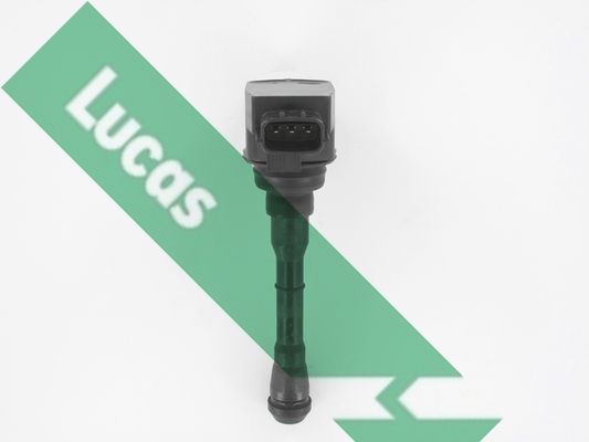 Ritė, uždegimas LUCAS DMB2088