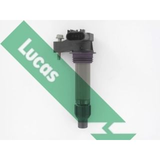 Ritė, uždegimas LUCAS DMB2098