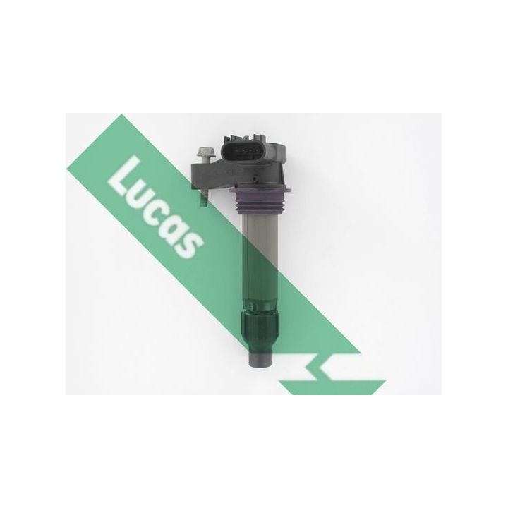 Ritė, uždegimas LUCAS DMB2098