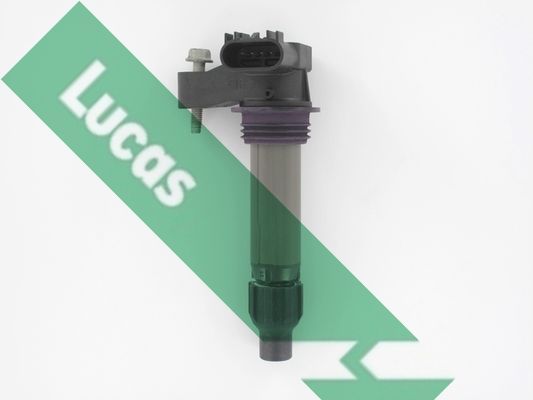 Ritė, uždegimas LUCAS DMB2098