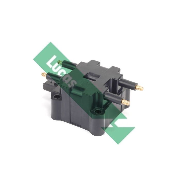 Ritė, uždegimas LUCAS DMB2103