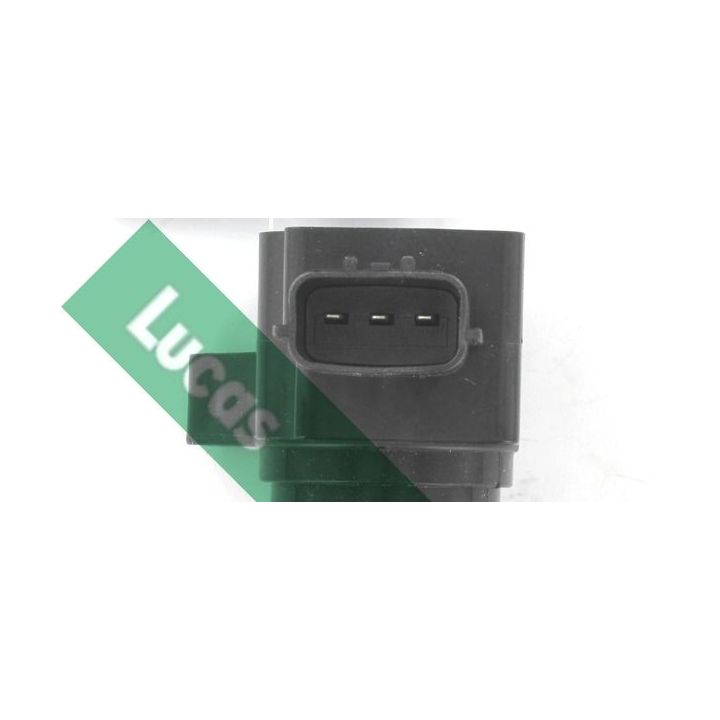 Ritė, uždegimas LUCAS DMB2107