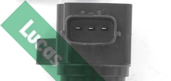 Ritė, uždegimas LUCAS DMB2107