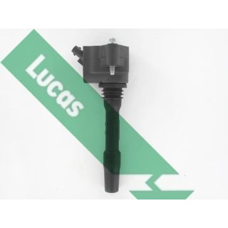Ritė, uždegimas LUCAS DMB2112