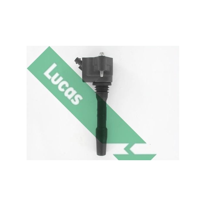 Ritė, uždegimas LUCAS DMB2112