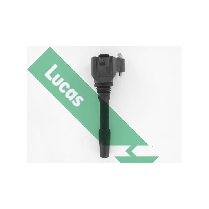 Ritė, uždegimas LUCAS DMB2112