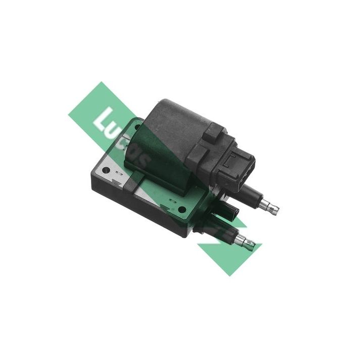 Ritė, uždegimas LUCAS DMB404