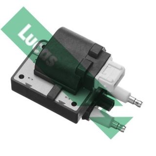 Ritė, uždegimas LUCAS DMB405