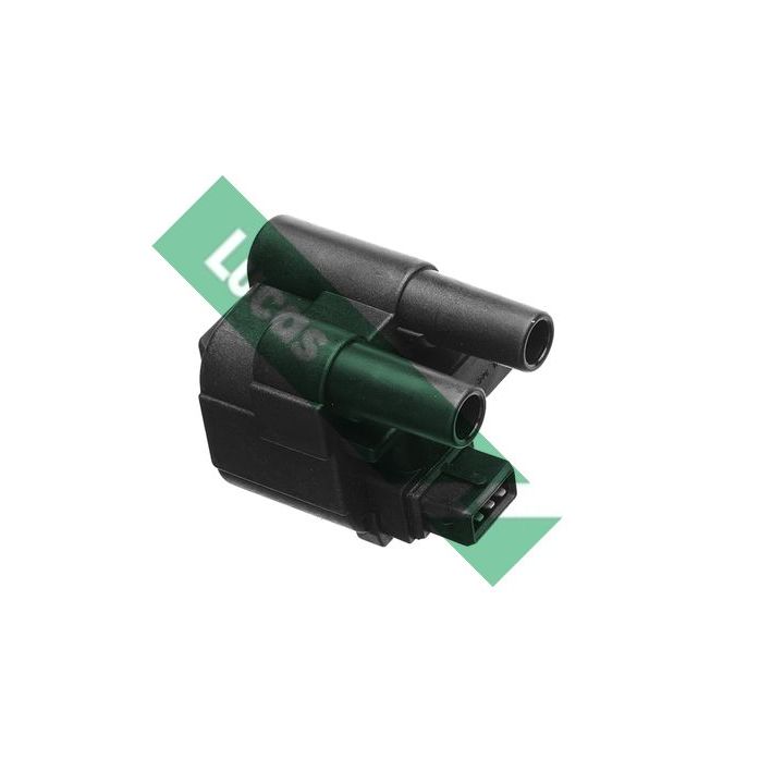 Ritė, uždegimas LUCAS DMB407