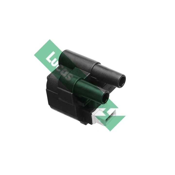 Ritė, uždegimas LUCAS DMB409