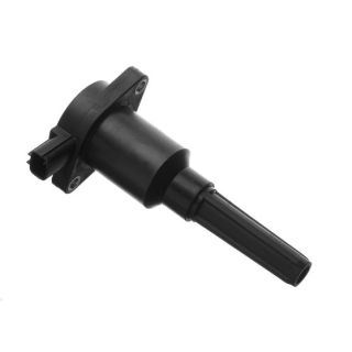 Ritė, uždegimas LUCAS DMB411