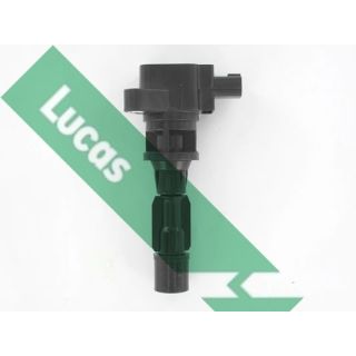 Ritė, uždegimas LUCAS DMB5013