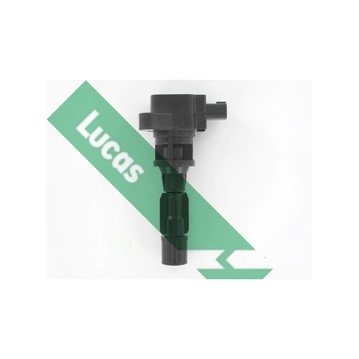 Ritė, uždegimas LUCAS DMB5013