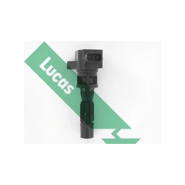 Ritė, uždegimas LUCAS DMB5013