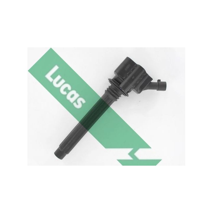 Ritė, uždegimas LUCAS DMB5014