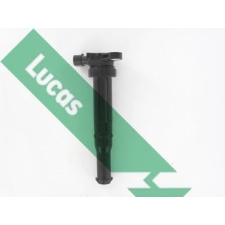 Ritė, uždegimas LUCAS DMB5018