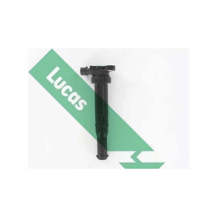 Ritė, uždegimas LUCAS DMB5018