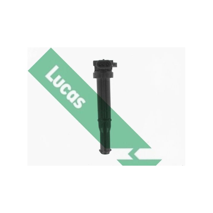 Ritė, uždegimas LUCAS DMB5018