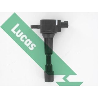 Ritė, uždegimas LUCAS DMB5019