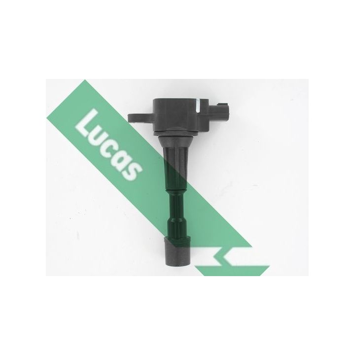 Ritė, uždegimas LUCAS DMB5019