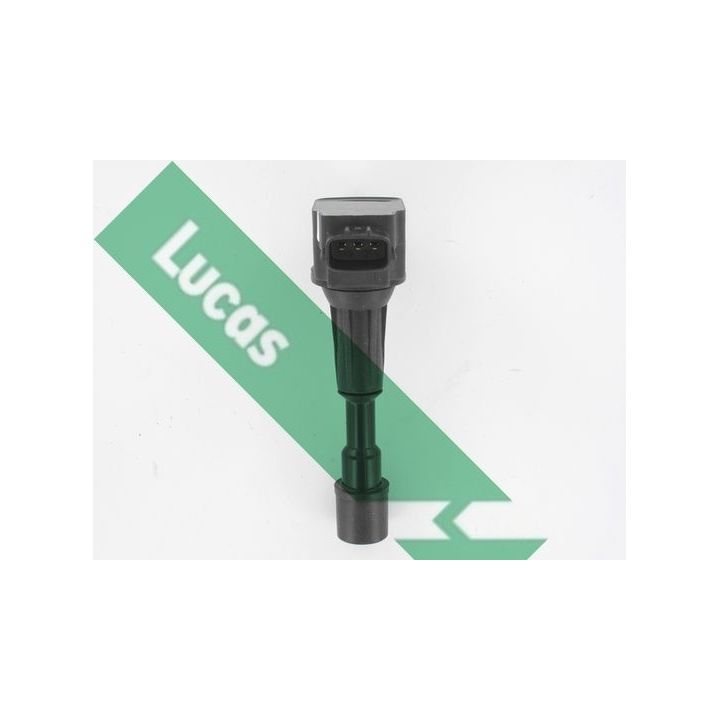Ritė, uždegimas LUCAS DMB5019