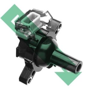 Ritė, uždegimas LUCAS DMB5034