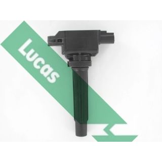 Ritė, uždegimas LUCAS DMB5035