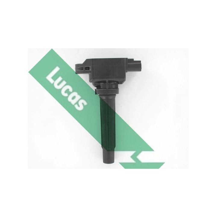 Ritė, uždegimas LUCAS DMB5035