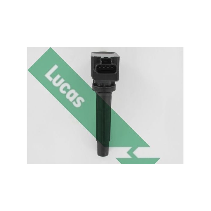 Ritė, uždegimas LUCAS DMB5035