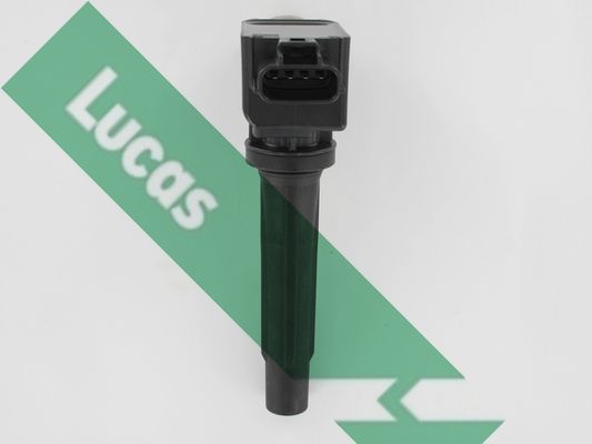 Ritė, uždegimas LUCAS DMB5035